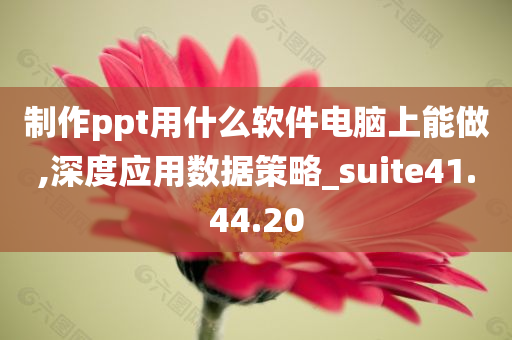 制作ppt用什么软件电脑上能做,深度应用数据策略_suite41.44.20