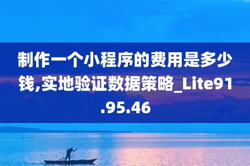 制作一个小程序的费用是多少钱,实地验证数据策略_Lite91.95.46