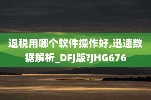 退税用哪个软件操作好,迅速数据解析_DFJ版?JHG676