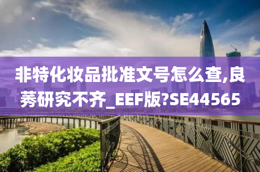 非特化妆品批准文号怎么查,良莠研究不齐_EEF版?SE44565