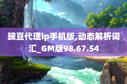 豌豆代理ip手机版,动态解析词汇_GM版98.67.54