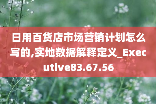 日用百货店市场营销计划怎么写的,实地数据解释定义_Executive83.67.56