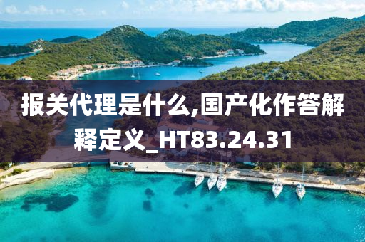 报关代理是什么,国产化作答解释定义_HT83.24.31