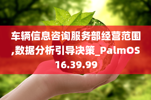 车辆信息咨询服务部经营范围,数据分析引导决策_PalmOS16.39.99