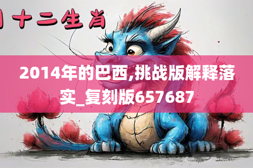 2014年的巴西,挑战版解释落实_复刻版657687