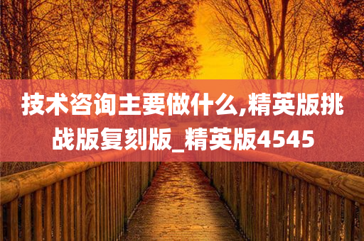 技术咨询主要做什么,精英版挑战版复刻版_精英版4545