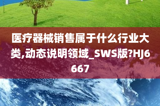 医疗器械销售属于什么行业大类,动态说明领域_SWS版?HJ6667