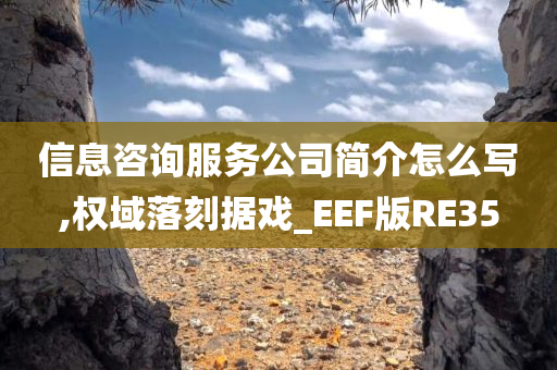 信息咨询服务公司简介怎么写,权域落刻据戏_EEF版RE35