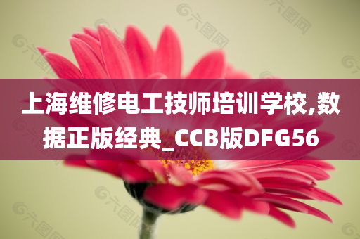 上海维修电工技师培训学校,数据正版经典_CCB版DFG56