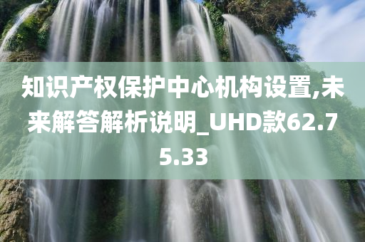 知识产权保护中心机构设置,未来解答解析说明_UHD款62.75.33