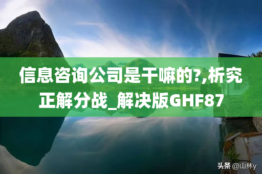 信息咨询公司是干嘛的?,析究正解分战_解决版GHF87