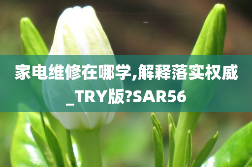 家电维修在哪学,解释落实权威_TRY版?SAR56