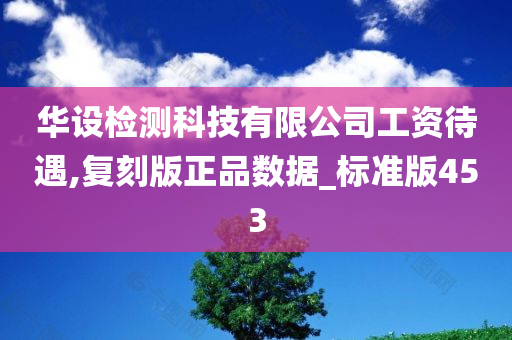 华设检测科技有限公司工资待遇,复刻版正品数据_标准版453