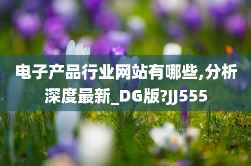 电子产品行业网站有哪些,分析深度最新_DG版?JJ555