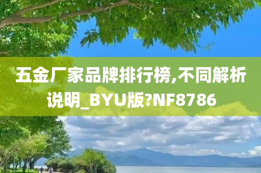 五金厂家品牌排行榜,不同解析说明_BYU版?NF8786