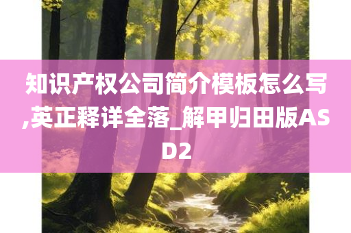 知识产权公司简介模板怎么写,英正释详全落_解甲归田版ASD2