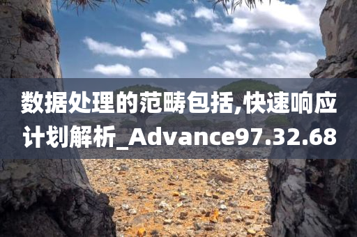 数据处理的范畴包括,快速响应计划解析_Advance97.32.68