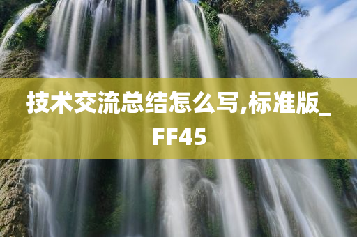 技术交流总结怎么写,标准版_FF45