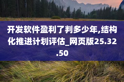 开发软件盈利了判多少年,结构化推进计划评估_网页版25.32.50