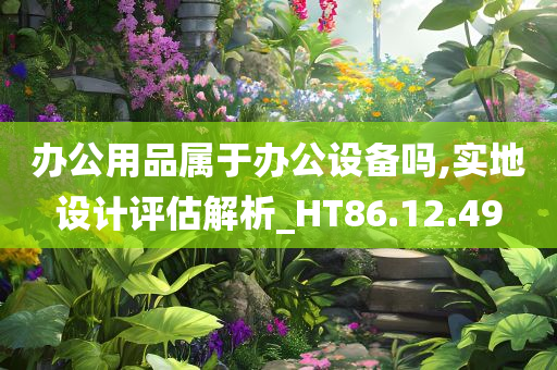 办公用品属于办公设备吗,实地设计评估解析_HT86.12.49