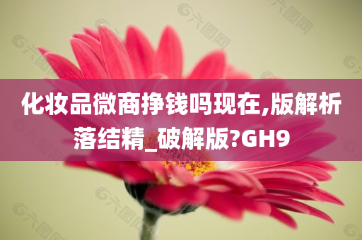 化妆品微商挣钱吗现在,版解析落结精_破解版?GH9