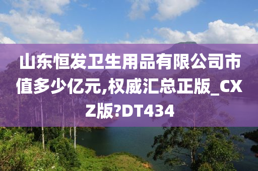 山东恒发卫生用品有限公司市值多少亿元,权威汇总正版_CXZ版?DT434