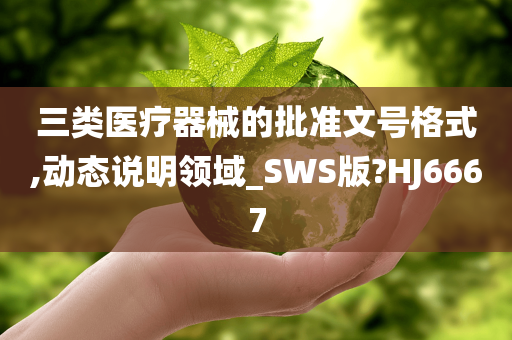 三类医疗器械的批准文号格式,动态说明领域_SWS版?HJ6667