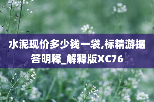 水泥现价多少钱一袋,标精游据答明释_解释版XC76