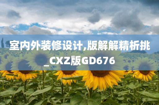 室内外装修设计,版解解精析挑_CXZ版GD676