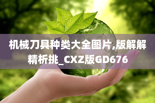 机械刀具种类大全图片,版解解精析挑_CXZ版GD676