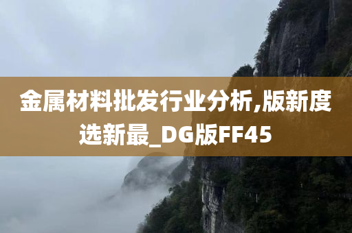 金属材料批发行业分析,版新度选新最_DG版FF45