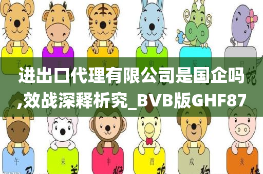 进出口代理有限公司是国企吗,效战深释析究_BVB版GHF87