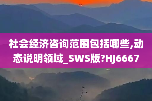 社会经济咨询范围包括哪些,动态说明领域_SWS版?HJ6667