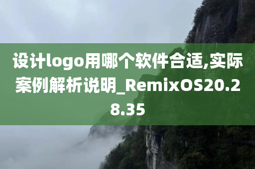 设计logo用哪个软件合适,实际案例解析说明_RemixOS20.28.35