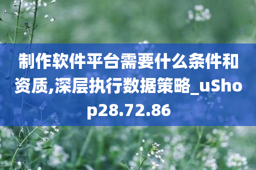 制作软件平台需要什么条件和资质,深层执行数据策略_uShop28.72.86