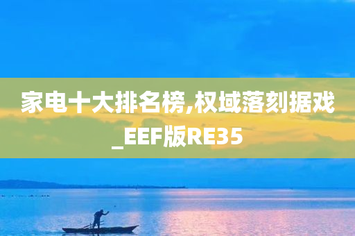 家电十大排名榜,权域落刻据戏_EEF版RE35