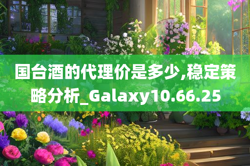 国台酒的代理价是多少,稳定策略分析_Galaxy10.66.25