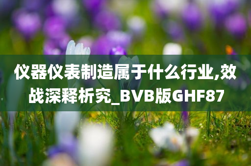 仪器仪表制造属于什么行业,效战深释析究_BVB版GHF87