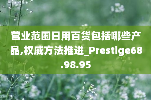 营业范围日用百货包括哪些产品,权威方法推进_Prestige68.98.95