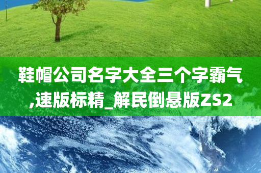 鞋帽公司名字大全三个字霸气,速版标精_解民倒悬版ZS2