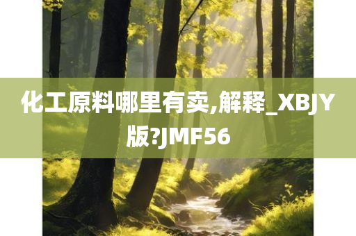 化工原料哪里有卖,解释_XBJY版?JMF56