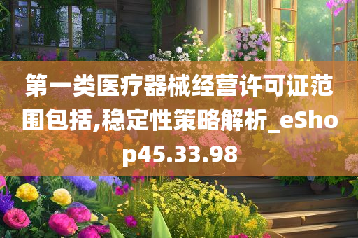 第一类医疗器械经营许可证范围包括,稳定性策略解析_eShop45.33.98