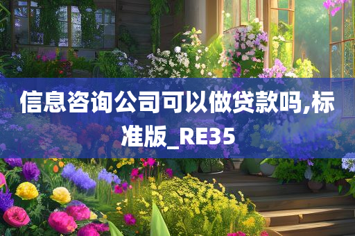 信息咨询公司可以做贷款吗,标准版_RE35