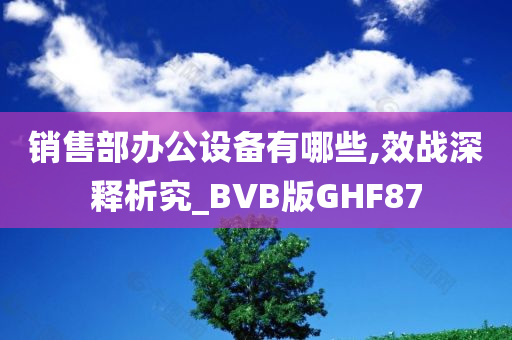 销售部办公设备有哪些,效战深释析究_BVB版GHF87