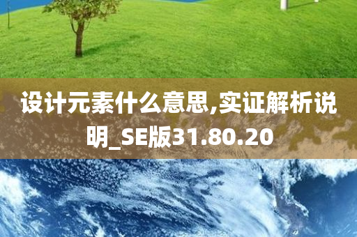 设计元素什么意思,实证解析说明_SE版31.80.20