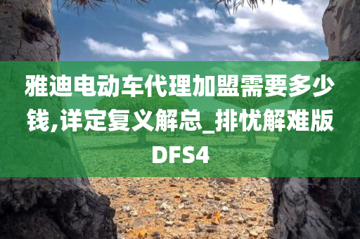 雅迪电动车代理加盟需要多少钱,详定复义解总_排忧解难版DFS4