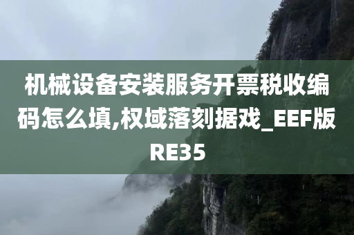 机械设备安装服务开票税收编码怎么填,权域落刻据戏_EEF版RE35