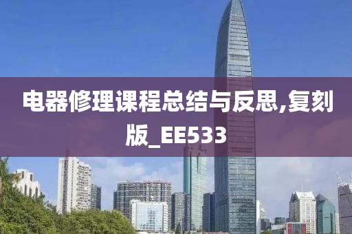 电器修理课程总结与反思,复刻版_EE533