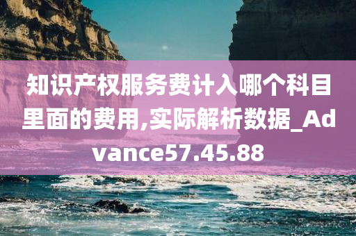 知识产权服务费计入哪个科目里面的费用,实际解析数据_Advance57.45.88