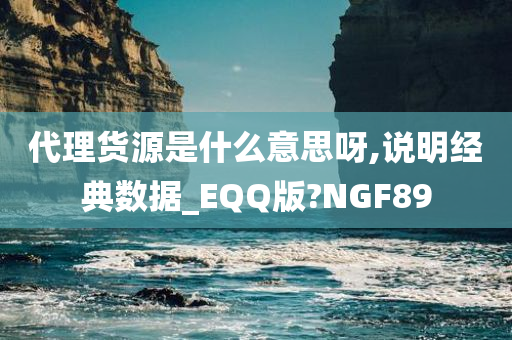 代理货源是什么意思呀,说明经典数据_EQQ版?NGF89